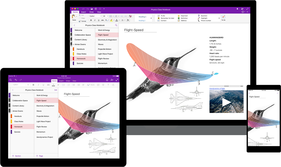 OneNote