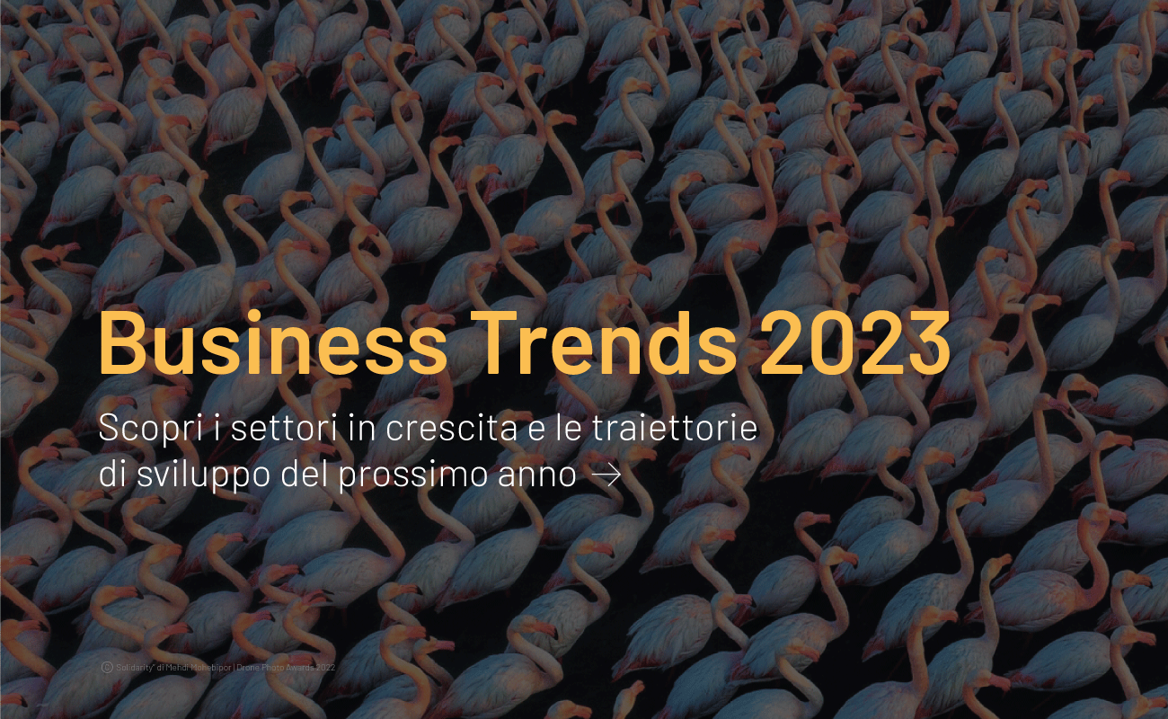 Settori in crescita 2023 Report Resolve